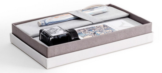 Перьевая ручка Visconti Van Gogh Old Vineyard with Peasant Woman Перьевая ручка Visconti Van Gogh Old Vineyard with Peasant Woman